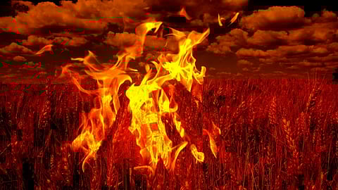 Transgender tried to fired out in Amravati