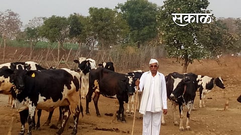 Dnyaneshwar Lande made progress in the dairy business