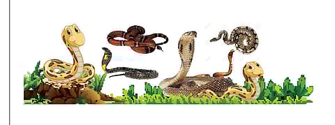 चला, निसर्गमित्राला जपूया...!