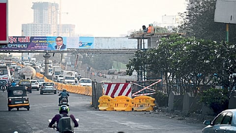 ठाणे : मेट्रो कामात बाधीत होणारे चाफ्याचे वृक्ष (छायाचित्र : दीपक कुरकुंडे)