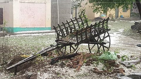 कोळेगाव परिसरात पडलेल्या गारा.