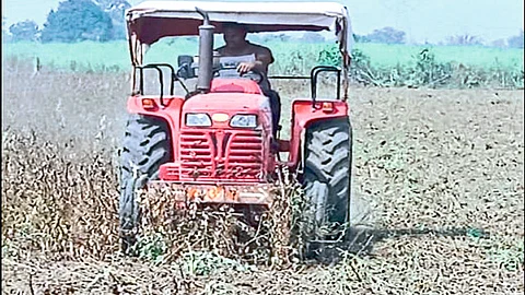 मारेगाव : शेतातील सोयाबीन पिकावर ट्रॅक्टर फिरविताना शेतकरी.