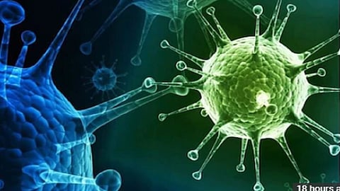 कोरोना मृतदेहाच्या राखेतून संसर्ग होतो का? काय माहिती आली समोर, वाचा वृत्त