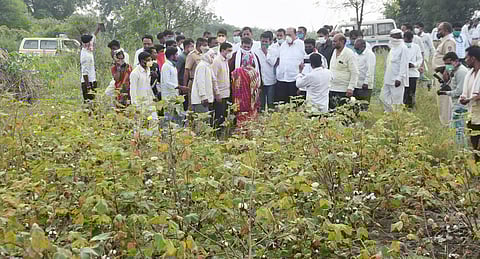 The alliance government will help farmers before Diwali