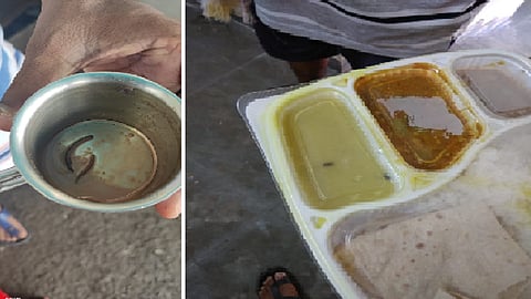 चहामध्ये गांडूळ तर जेवणात माशी; क्वारंटाईन सेंटरमधील गैरकारभार चव्हाट्यावर