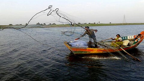 मासेमारी करणाऱ्या बांधवांसाठी आनंदाची बातमी; किसान क्रेडिट कार्डच्या धर्तीवर मासेमारांनाही मिळणार कर्ज; वाचा सविस्तर