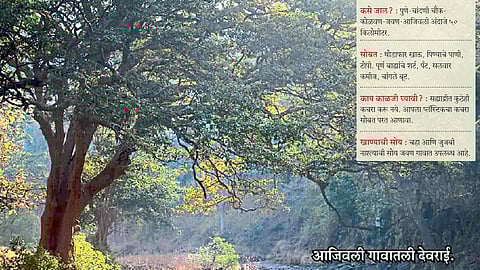 उन्हात चांदण्यांचा अनुभव