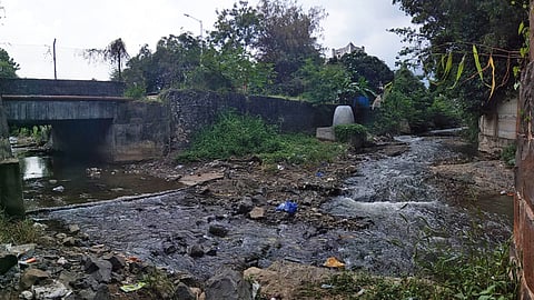 ओढा म्हणतो... मी कसं वाहायचं?