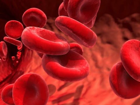 Women should not ignore anemia About 60 to 70 percent of women suffer from it Nagpur news