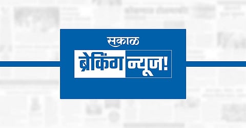 डिस्कळ येथील कारखान्यास आग; लाखाेंचे नुकसान
