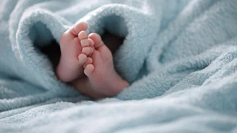 baby feet.jpg