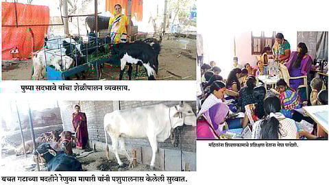 बचत गटांमुळे मिळाल्या रोजगाराच्या संधी