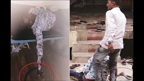 After taking a bitten cobra, he traveled 10 km to the hospital at nanded