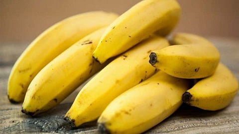 कोरोनात होणार विद्यार्थ्यांना केळी वाटप, पिंपरी महापालिकेच्या शिक्षण समितीचा घाट