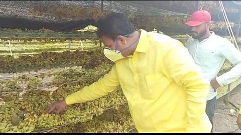 Pandharpur taluka also received rains the next day