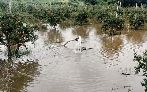 Water began to flow automatically from the borewell Incidents in Sangola taluka