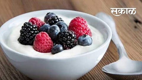 नाश्त्यात हे सात पदार्थ खा, राेग प्रतिकारशक्ती वाढेल, निराेगीही राहाल