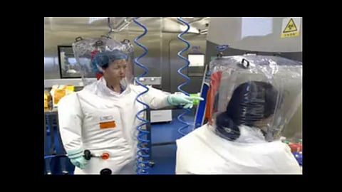 china wuhan lab shi zhengli statement on corona virus