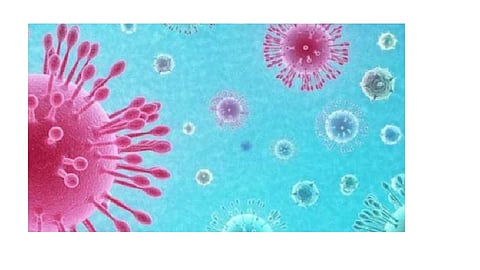 Rapid antigen testing will be performed on sick citizens