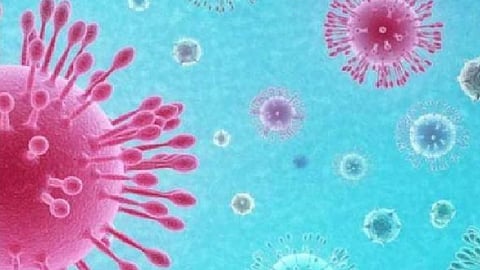 No check-ups, no medicines for those taking home treatment ...