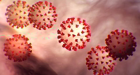 Kasba Tarela Vitthalai Siddheshvar festival canceled kolhapur marathi news