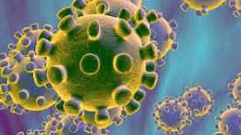 the hundred corona patients died in ratnagiri