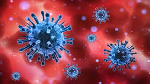 MP Sanjay Mandlik wife vaishali mandlik and Son Virendra Mandlik covid infected in kolhapur