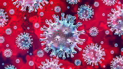 coronavirus issue in sindhudurg district