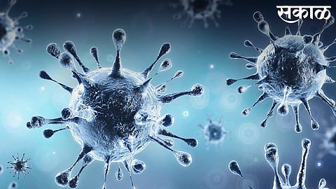 पिंपरी-चिंचवडमध्ये आज २५३ नवे कोरोना पॉझिटिव्ह