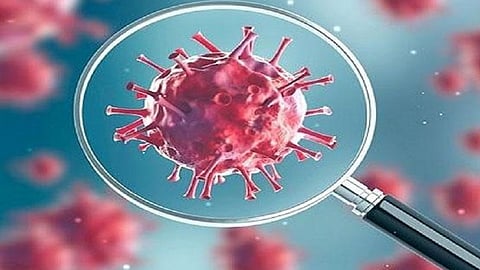 dabhol, dapoli and other four tehsils are corona hotspot in ratnagiri