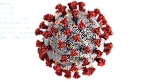 coronavirus impact konkan sindhudurg