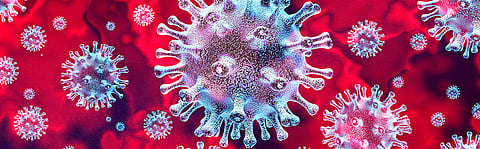 Mother in law stopped Daughter in law at the threshold for corona testing