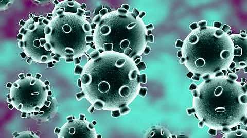 coronavirus_1_4.jpg