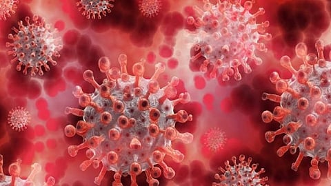 maz kutumb majhi jababdari policy start from today in maharashtra under 564 commeity woring in kokan