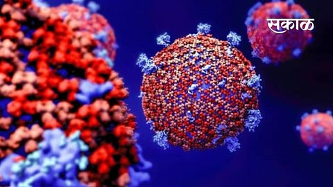 coronavirus security alert kolhapur administer pricocations covid 19 marathi news