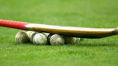 cricket