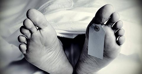 संग्रहित छायाचित्र