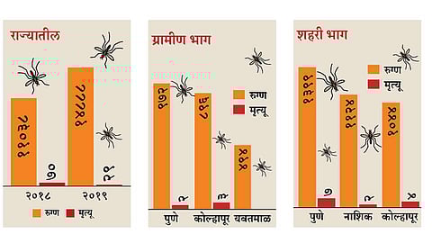 14 thousand 888 dengue patients found in maharashtra