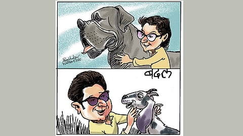 ढिंग टांग  :  खळ्ळ खट्याक ते सविनय कायदेभंग!