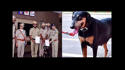 tunga sniffs out killer after 12km run in 2 hours at karnataka