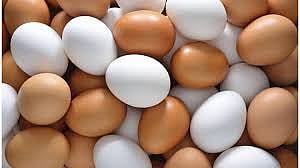 अरेच्चा : गावराण अंडीसाठी करावे लागते अॅडव्हान्स बुकींग; दोन आठवड्यांची वेटींग !