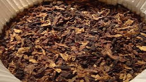 tobacco of 70 thousands caught in yavatmal district