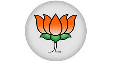 Accident in BJP candidate Manda Mhatre rally