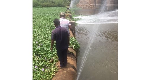 water supply schedule will be disrupted again this summer ichalkaranji marathi news