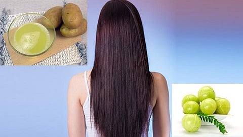 3 Best Natural Hair Packs in Marathi