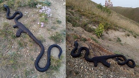 snake swallowing ak 47 rifle
