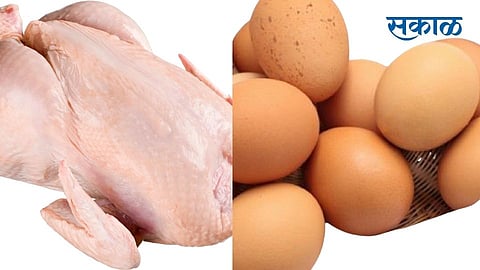 Demand for eggs and chicken has declined in Kopargaon