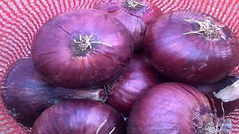 ...म्हणून परदेशी कांद्याला ग्राहक, व्यापारी म्हणतायेत नको!