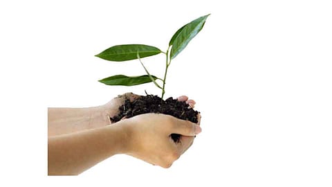 कचरा समस्येवर नारीशक्तीची आदर्श पायवाट...