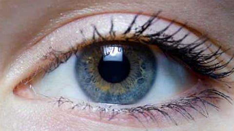 शहरात नेत्रदान प्रक्रिया थंडावली;दहा वर्षांत अवघे ७१२ नेत्रदाते